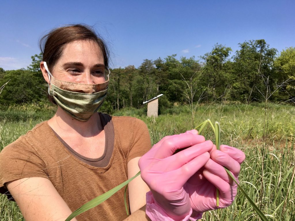 Conducting field research during COVID-19